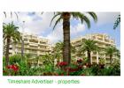 Novelty Club - Salou timeshare photograph 1