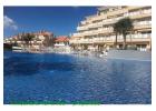 Tropical Park - Tenerife timeshare photograph 2