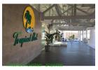 Tropical Park - Tenerife timeshare photograph 3