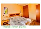 Ogisaka Garden, Alicante timeshare photograph 3