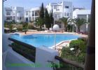 Aldea Bonsai - Ibiza timeshare photograph 1