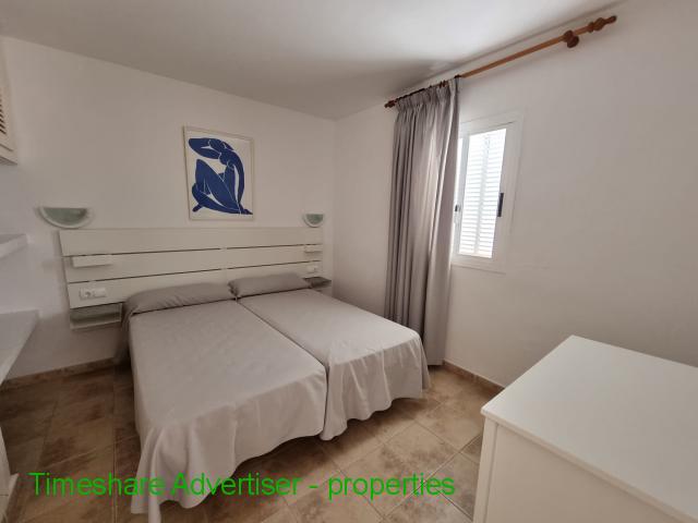 Aldea Bonsai - Ibiza